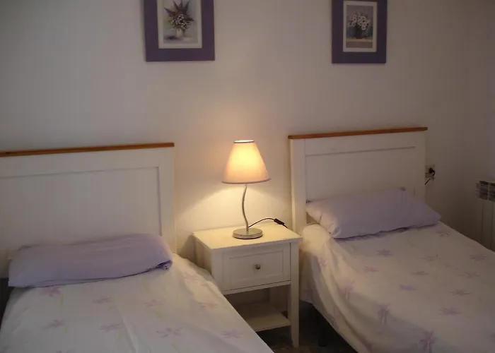 Olivos -