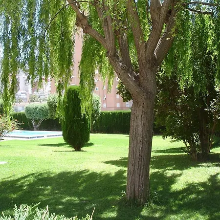 Apartamento Olivos - Benidorm