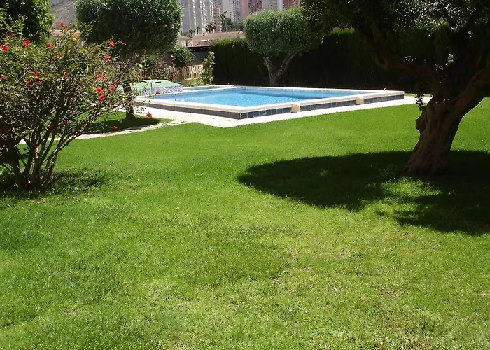 Olivos - *