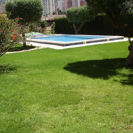 Olivos - *